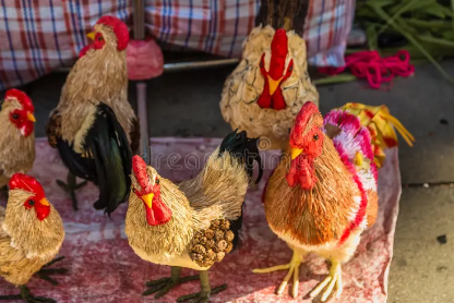 padova chicken